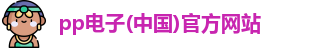 pp电子(中国)官方网站